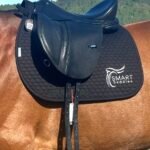 Used Smart VSD Saddle - Black