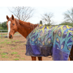 Turnout rug